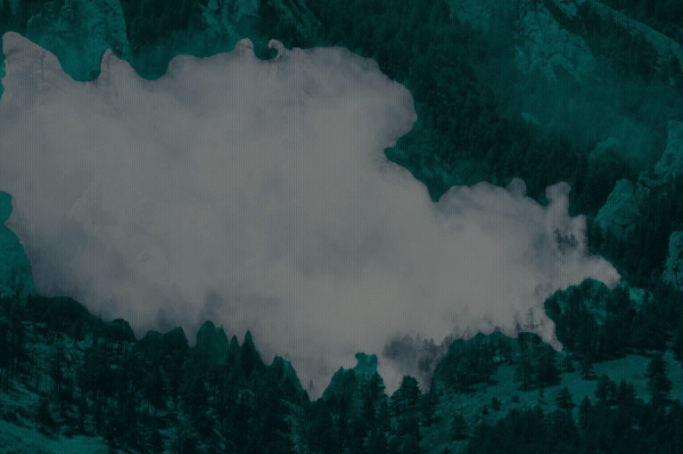 Forest Fire