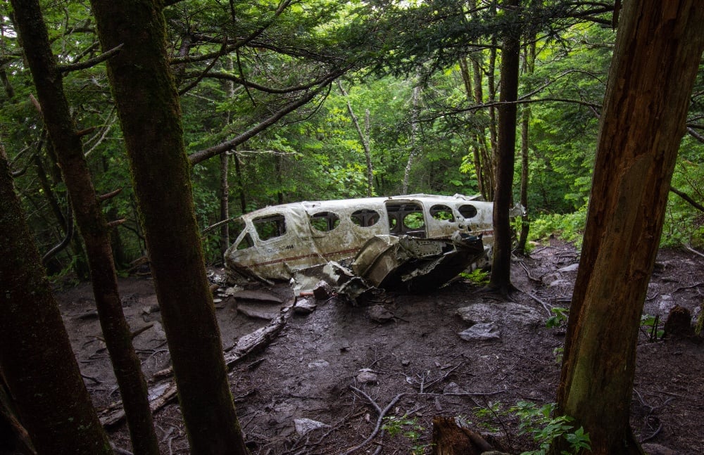 Crashed plane decaying in the Blue Ridge Mountains